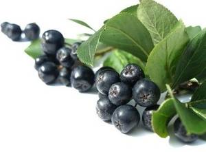 aronia wino